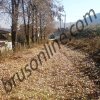 dsc03897