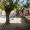 dsc03905