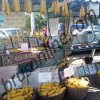 5. poljoprivredni sajam Kruševac