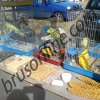 5. poljoprivredni sajam Kruševac