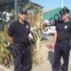 5. poljoprivredni sajam Kruševac